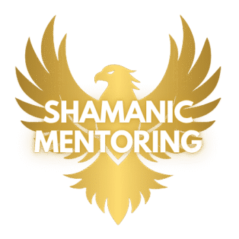 Mentoring Program, 3 months