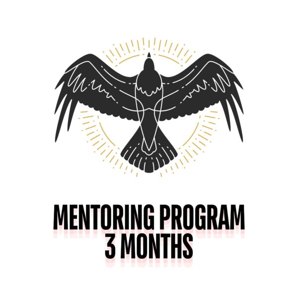 Mentoring Program, 3 months