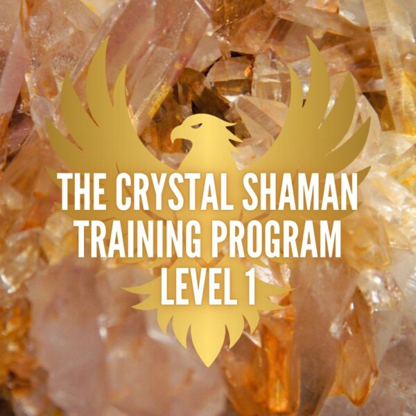 Crystal Shaman Training Program Level 1 (monthly payment)
