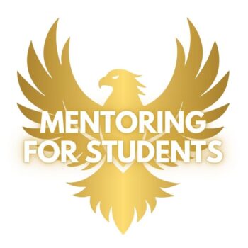shamanic mentoring sessions