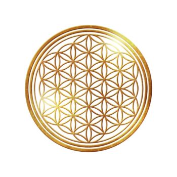 join divine abundance program