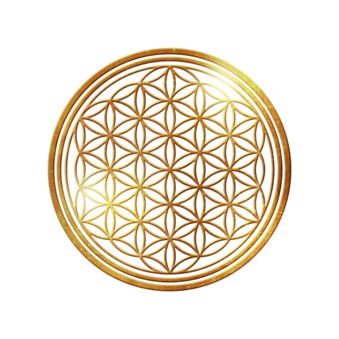 join divine abundance program